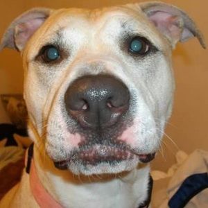 Meet your Posher, Christopher